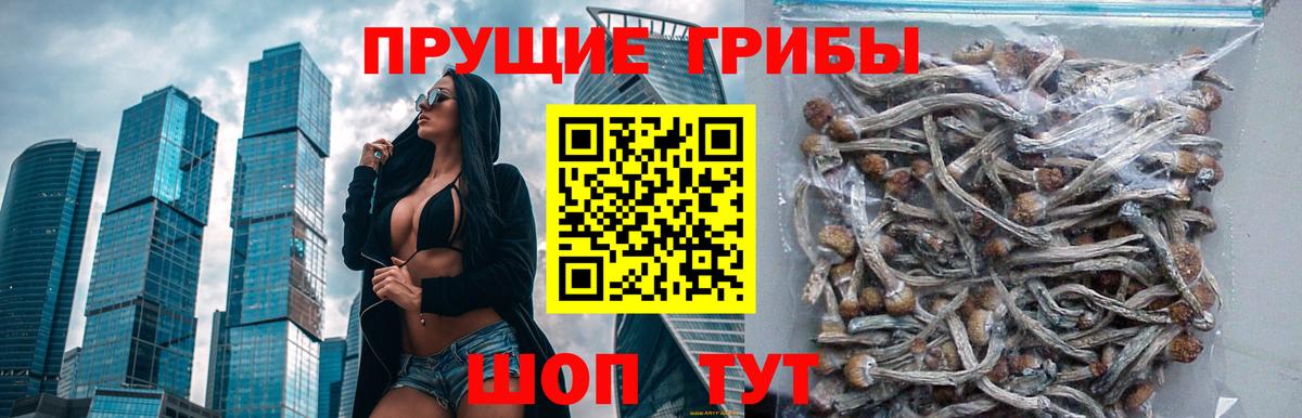 Галлюциногенные грибы GOLDEN TEACHER  Псилоцибиновые грибы мухоморы  Вход с VPN  Вязники 