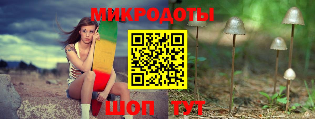 Псилоцибиновые грибы Psilocybine cubensis Вязники